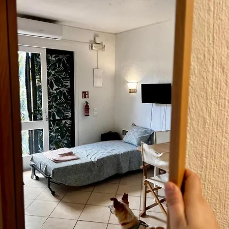 Apartment Jardim T0