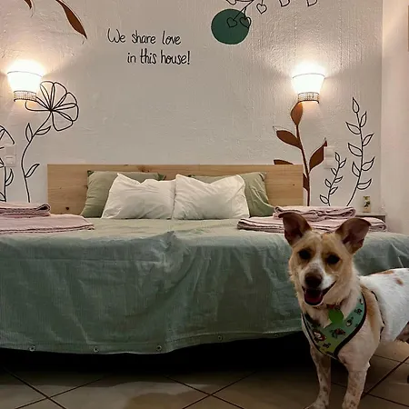 Apartment Jardim T0